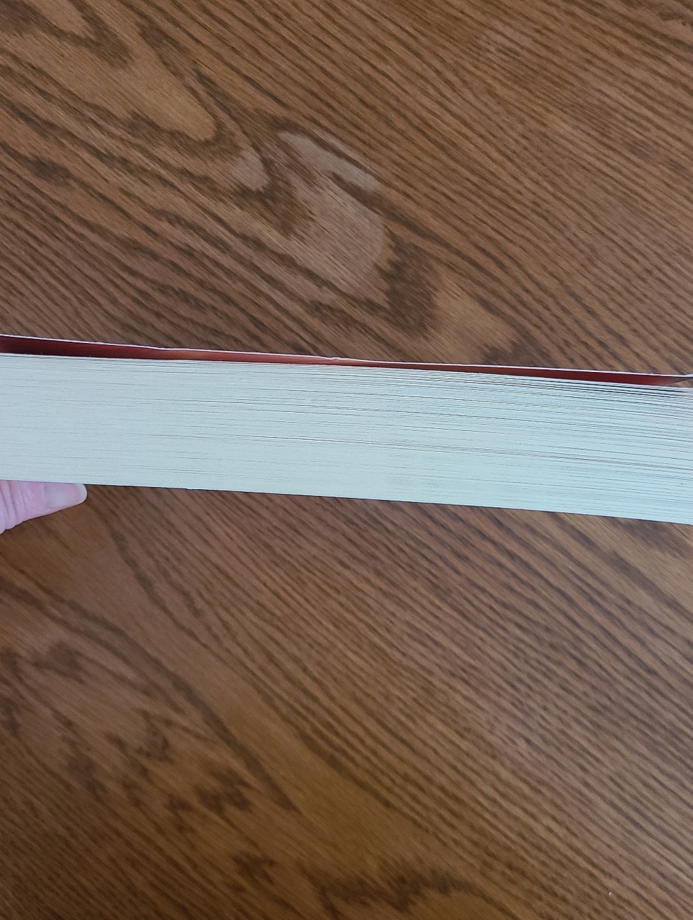 Reign the Earth Book by A.C. Gaughen - Picture 5 of 12